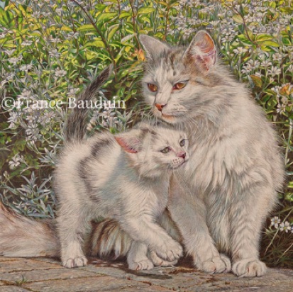 Symphony In White - 143 hours
Grey Mounting board
15.5" x 21.2"
Laila and Pixel (5th litter) Symphony In White - 143 hours
Grey Mounting board
15.5" x 21.2"
Laila and Pixel (5th litter)